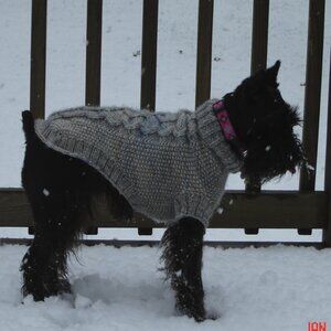 Doggie Wool Sweater